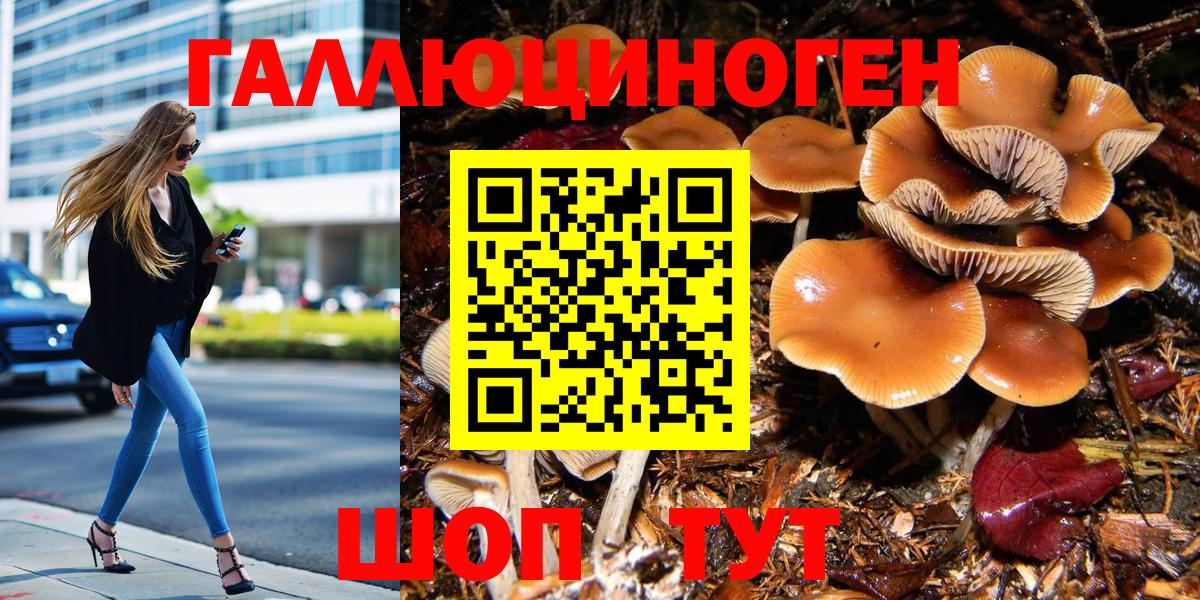 Батайск  Псилоцибиновые грибы MAGIC MUSHROOMS  Вход с VPN 
